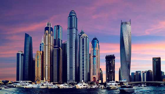 网页免费发手机号